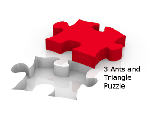 3 Ants and Triangle Puzzle